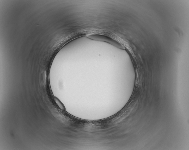 X0000112050109200909010950
