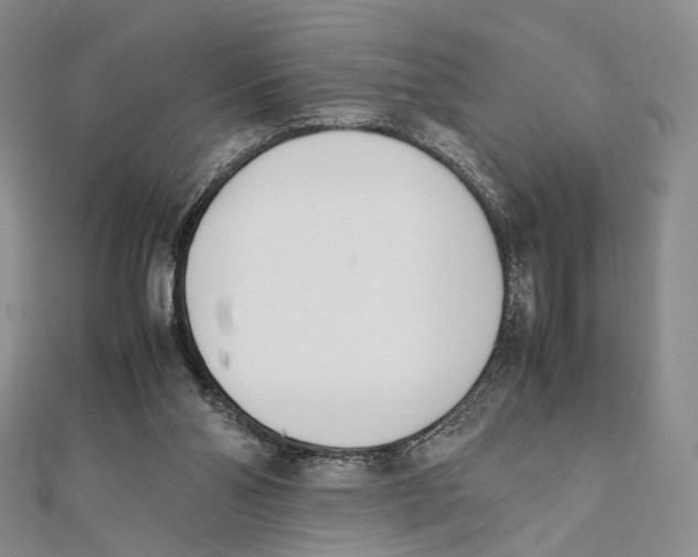 X0000112050110200909010950
