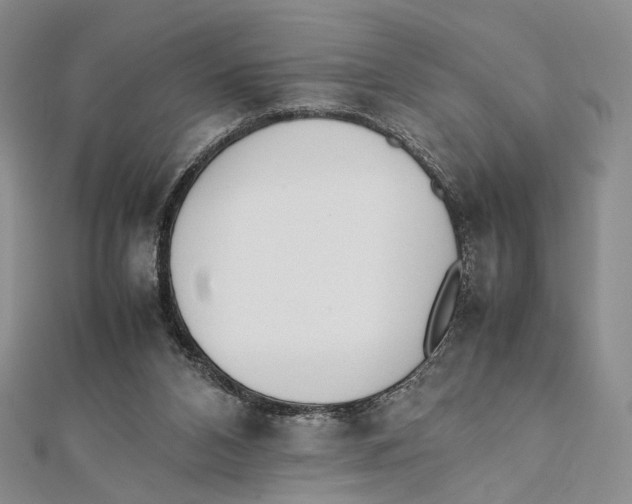 X0000112050112200909010950