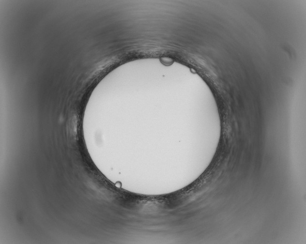 X0000112050115200909010950