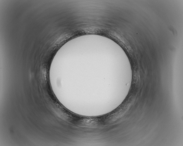 X0000112050117200909010950