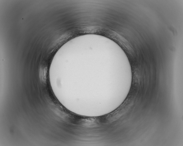X0000112050118200909010950