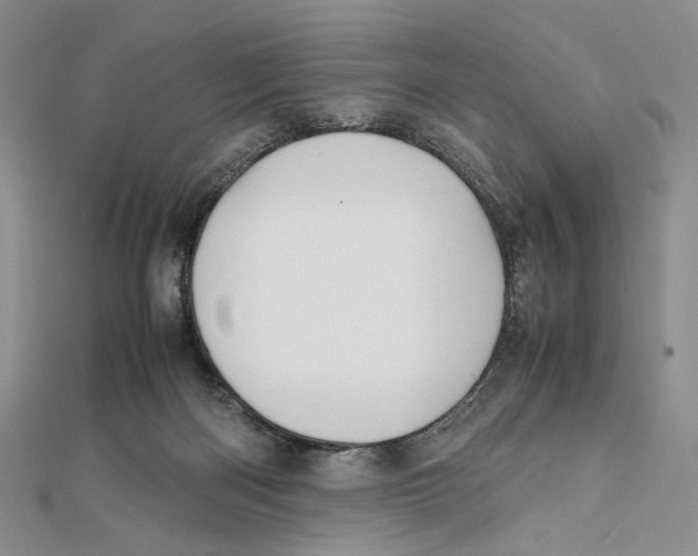 X0000112050122200909010950