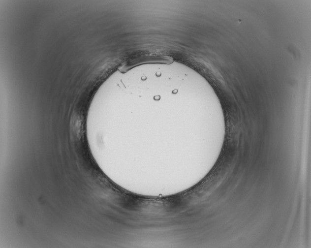 X0000112050123200909010950