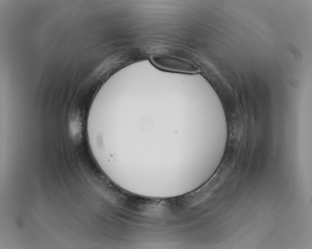 X0000112050124200909010950