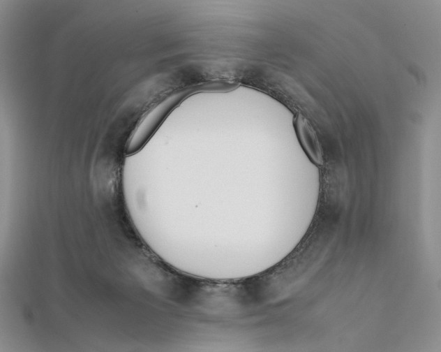 X0000112050125200909010950
