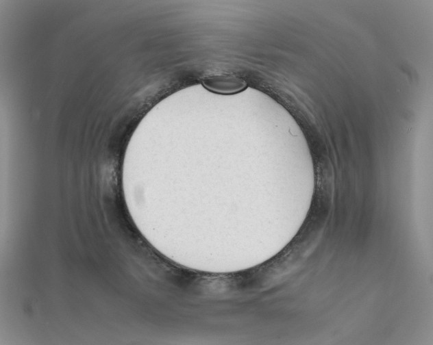 X0000112050127200909010950