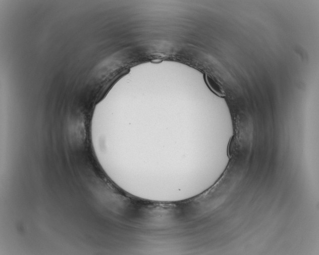 X0000112050128200909010950