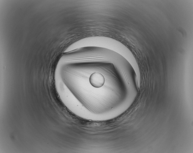 X0000112050129200909010950