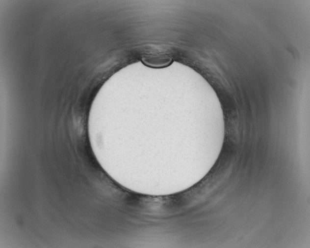X0000112050131200909010950