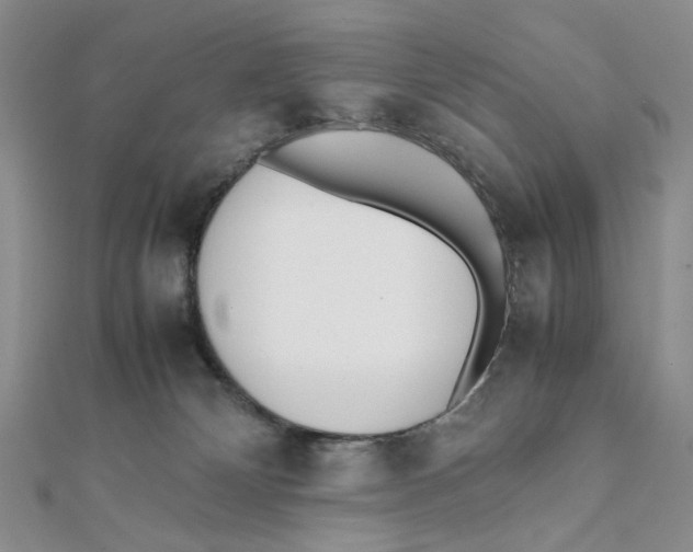 X0000112050132200909010950