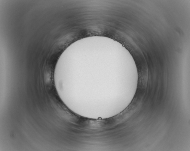 X0000112050134200909010950