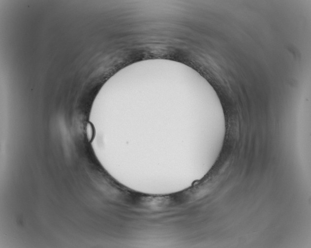 X0000112050135200909010950