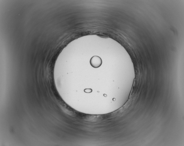 X0000112050136200909010950