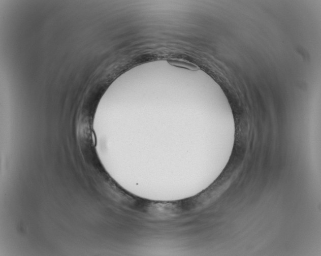 X0000112050137200909010950