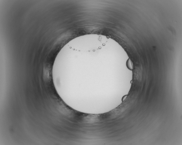 X0000112050138200909010950