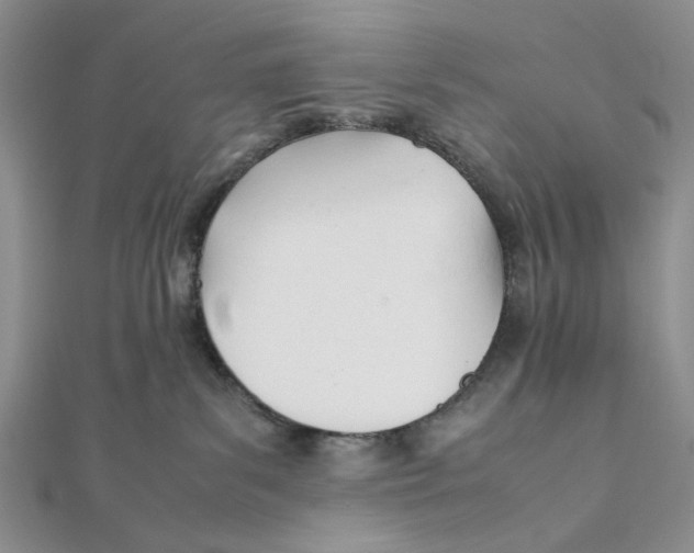 X0000112050139200909010950