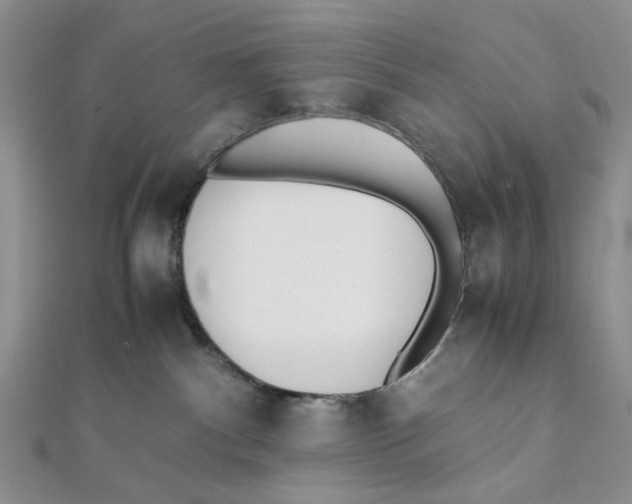 X0000112050140200909010950