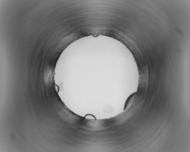 X0000112050142200909010950
