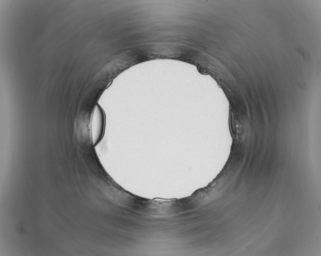 X0000112050143200909010950