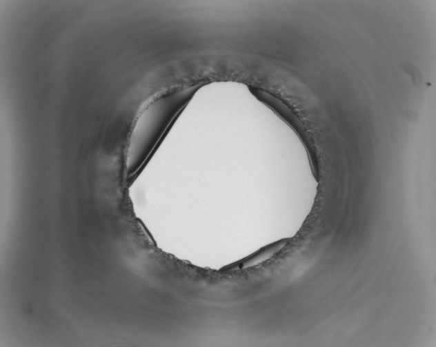 X0000112050144200909010950