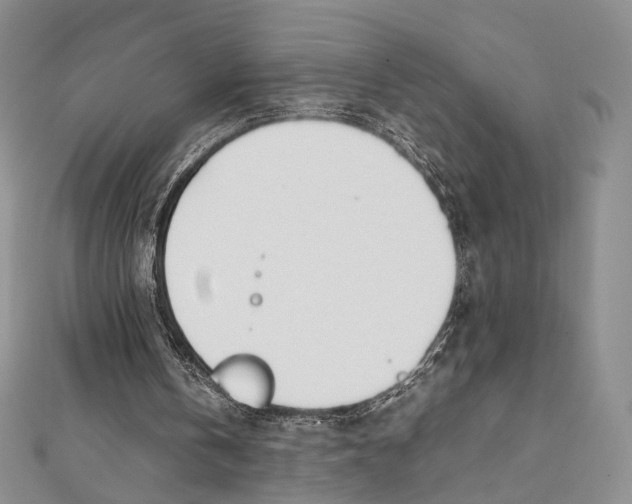 X0000112050146200909010949