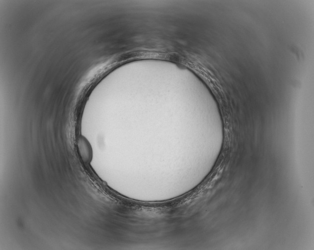 X0000112050149200909010949