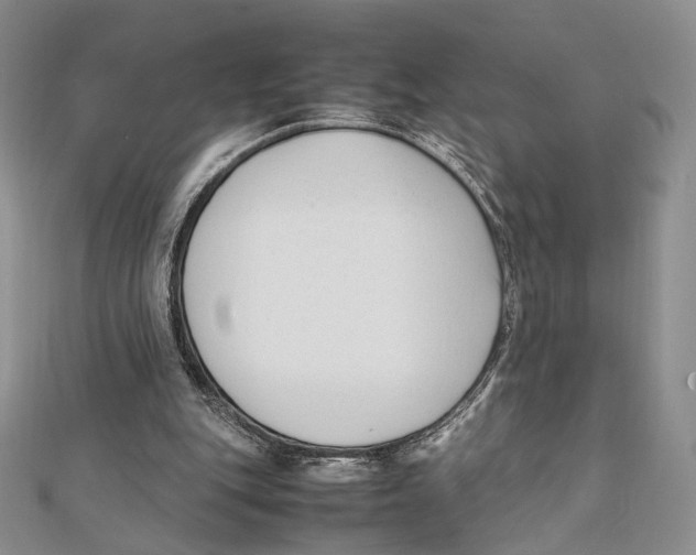 X0000112050151200909010949