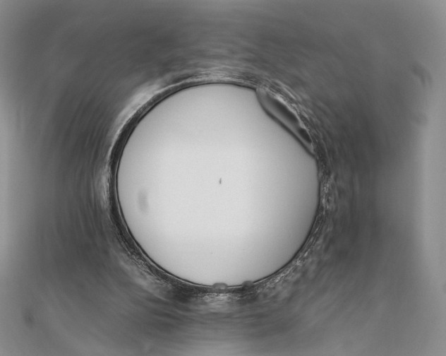 X0000112050152200909010949