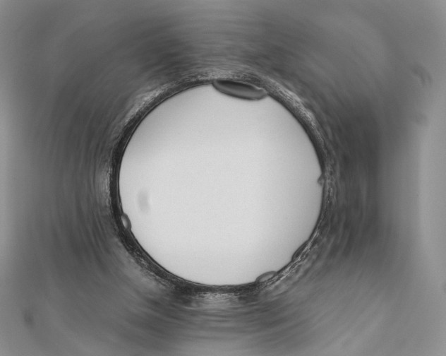 X0000112050154200909010949
