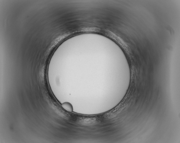 X0000112050155200909010949
