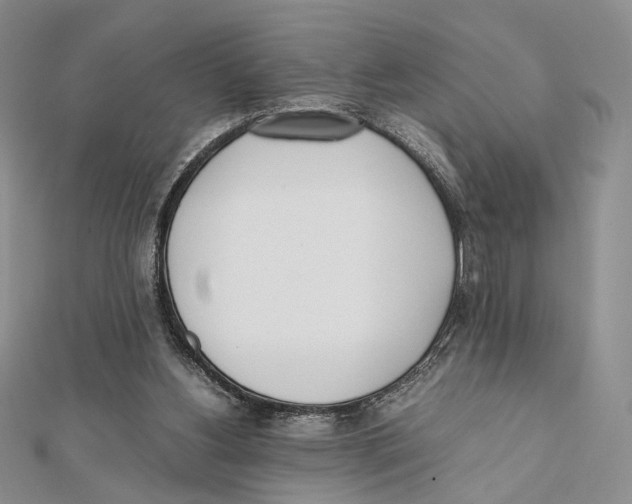 X0000112050156200909010949