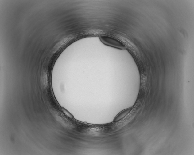 X0000112050158200909010949