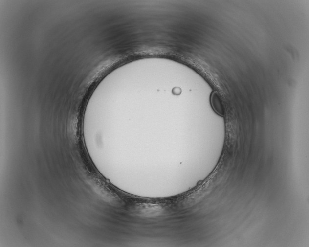 X0000112050159200909010949