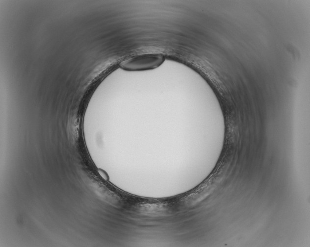 X0000112050160200909010949