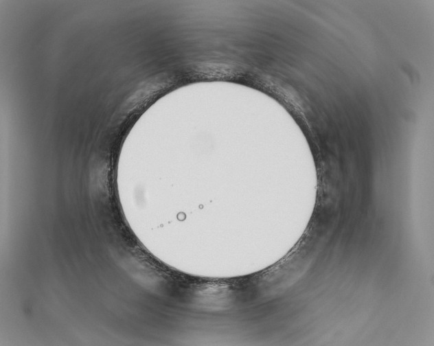 X0000112050162200909010949