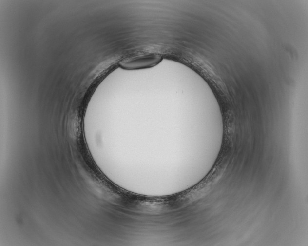 X0000112050164200909010949