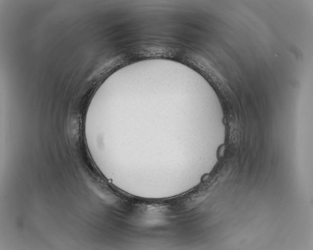 X0000112050165200909010949