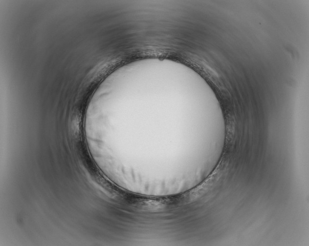 X0000112050166200909010949