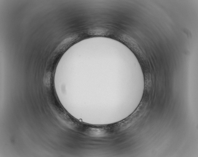 X0000112050167200909010949