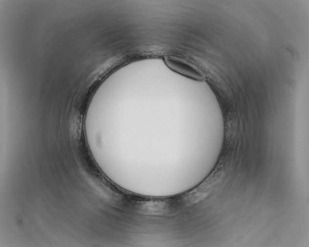 X0000112050168200909010949