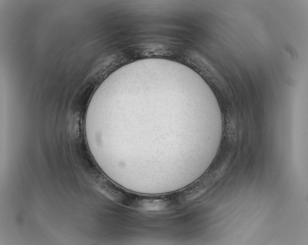 X0000112050169200909010949