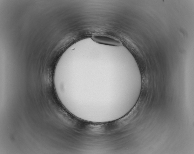 X0000112050170200909010949
