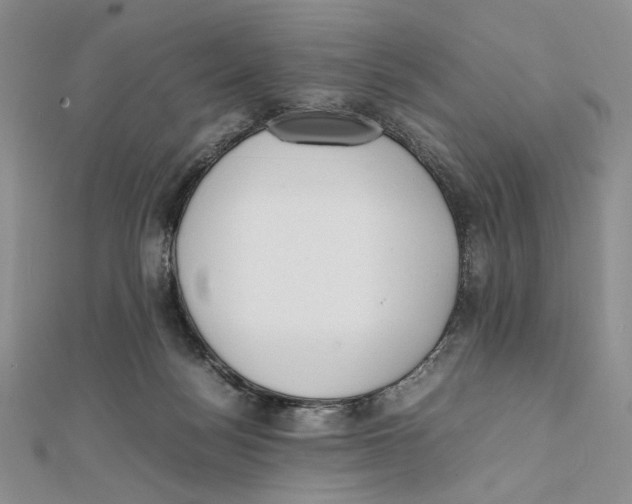 X0000112050172200909010949