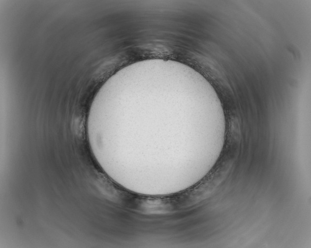 X0000112050177200909010950