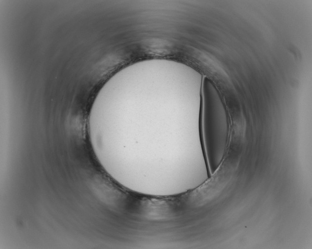 X0000112050180200909010950