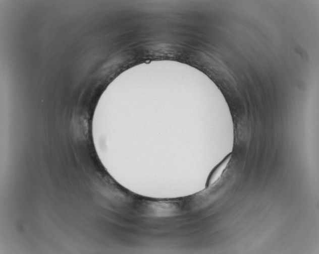 X0000112050183200909010950