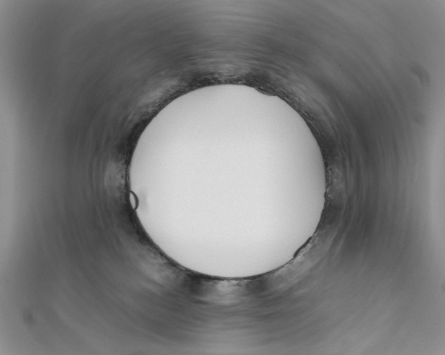 X0000112050184200909010950