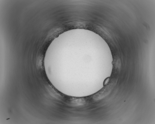 X0000112050185200909010950