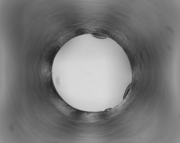 X0000112050186200909010950